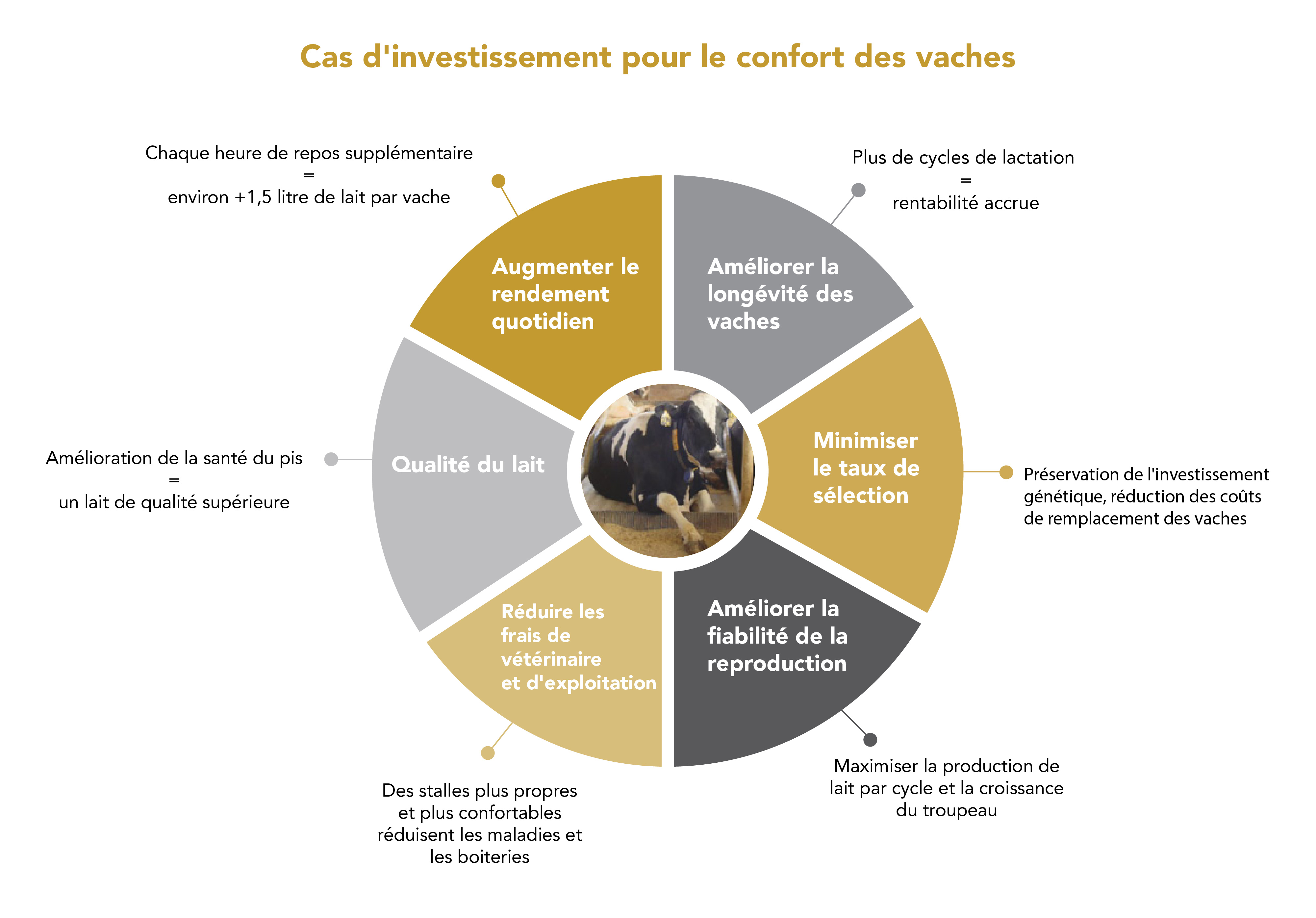 Investment Case for Cow Comfort