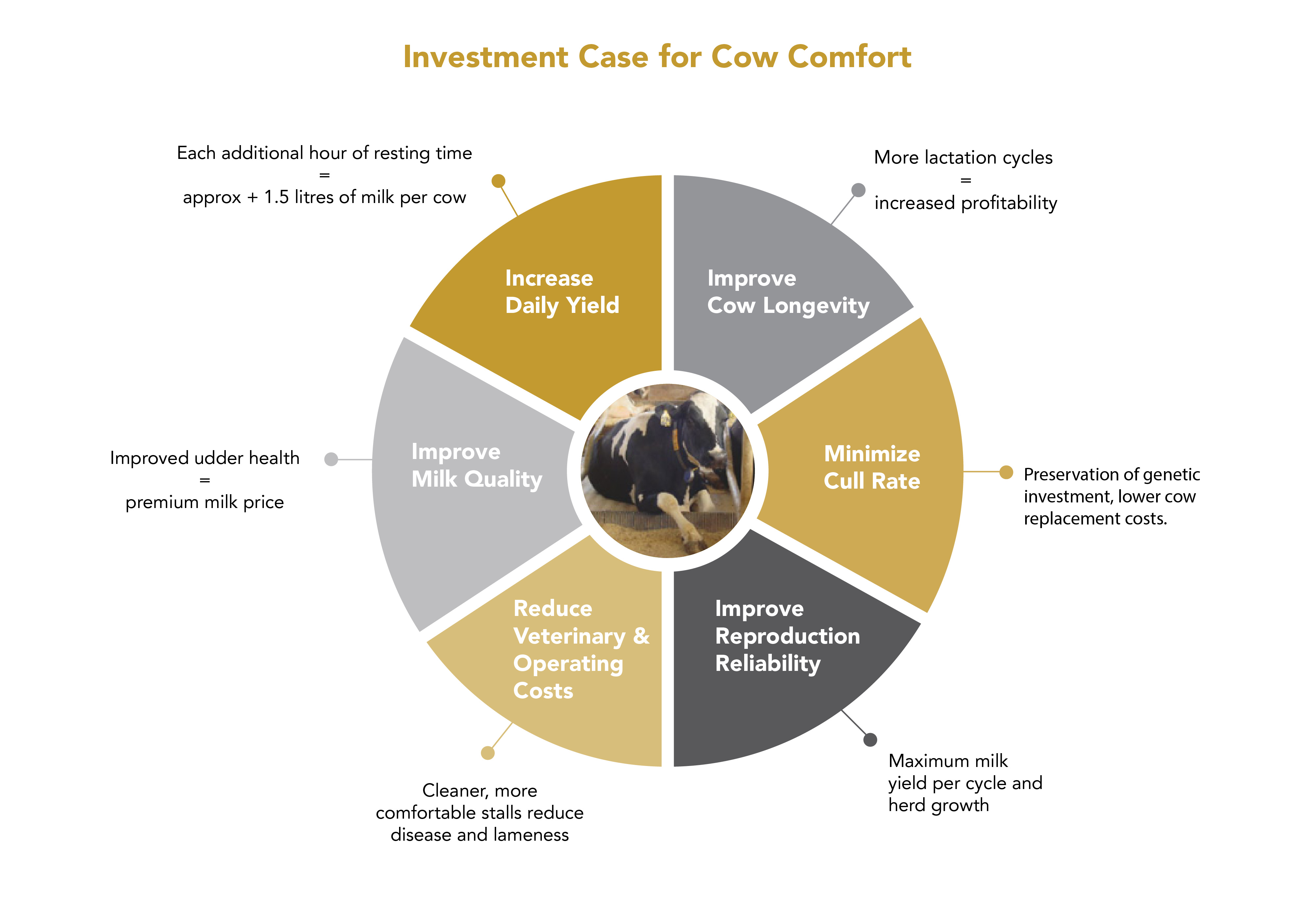 Investment Case for Cow Comfort